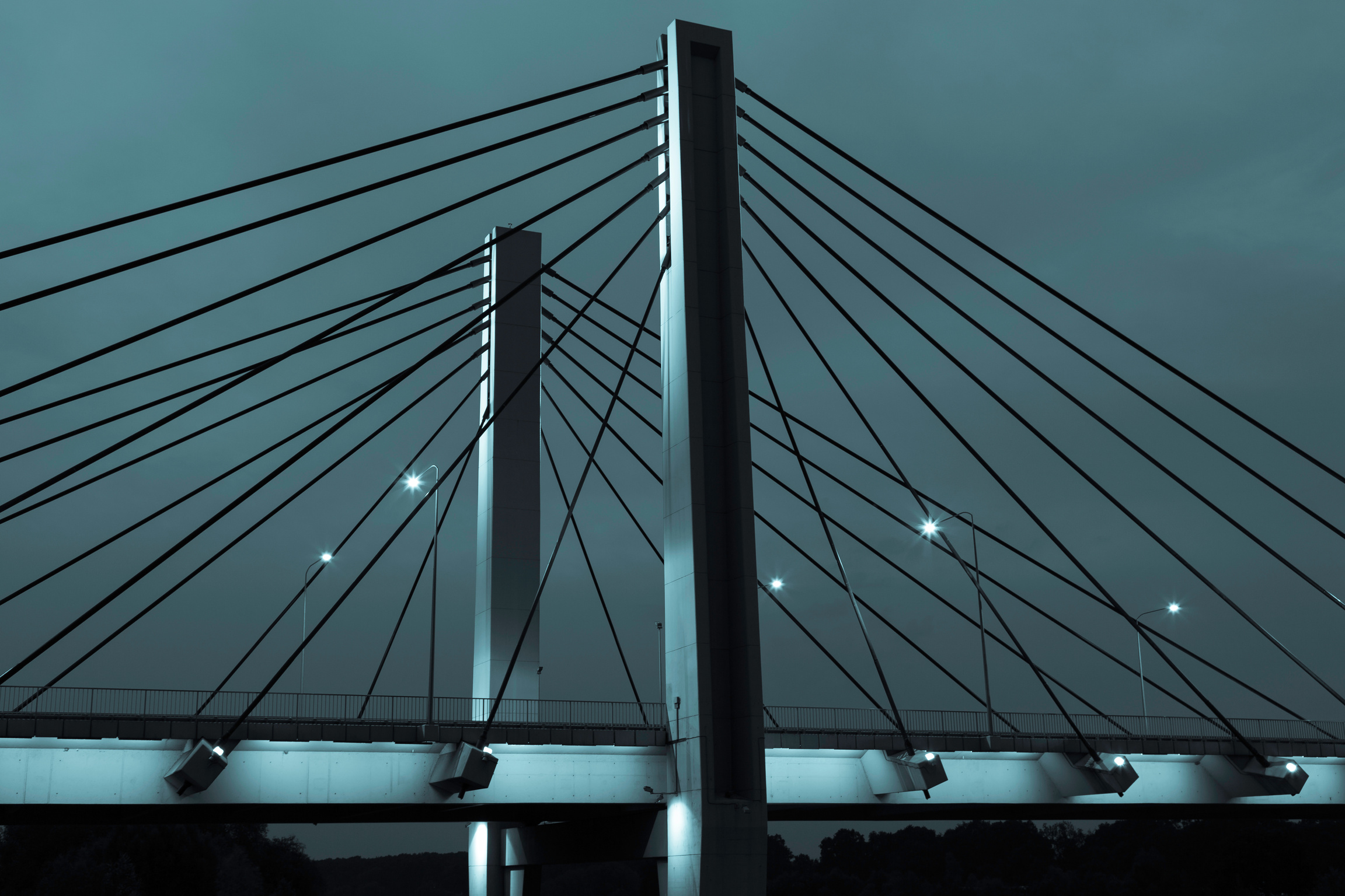 cable-stayed bridge